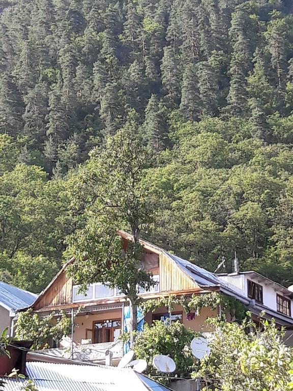 Rachvela'S Guest House Borjomi Ngoại thất bức ảnh