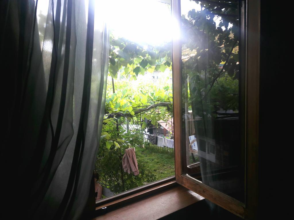 Rachvela'S Guest House Borjomi Ngoại thất bức ảnh