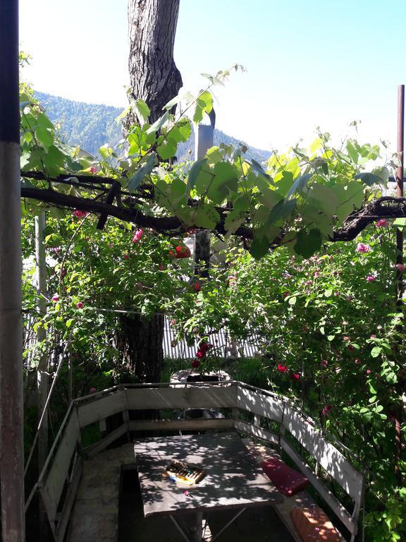 Rachvela'S Guest House Borjomi Ngoại thất bức ảnh