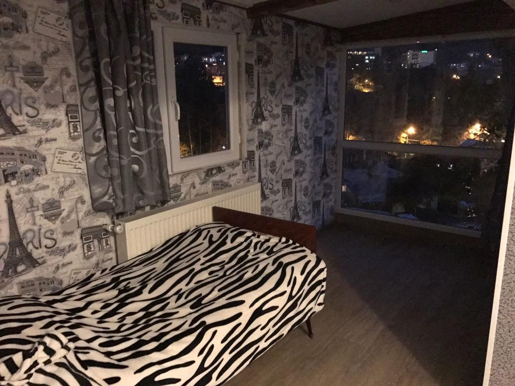 Rachvela'S Guest House Borjomi Ngoại thất bức ảnh