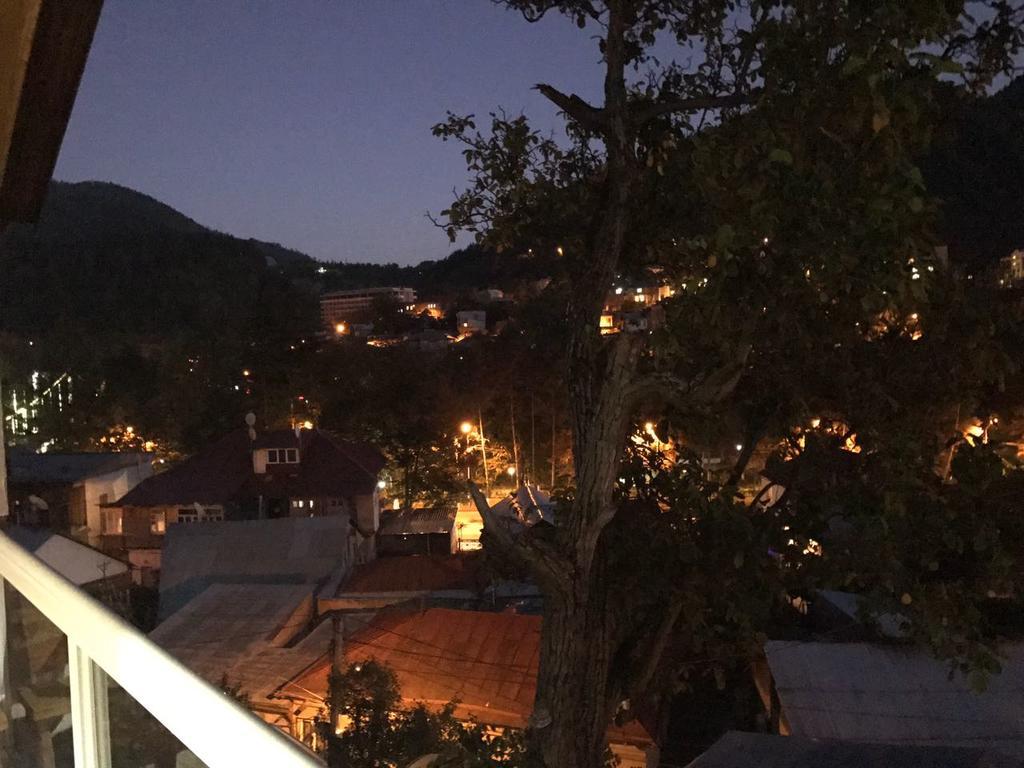 Rachvela'S Guest House Borjomi Ngoại thất bức ảnh
